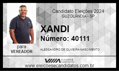 Candidato XANDI 2024 - GUZOLÂNDIA - Eleições