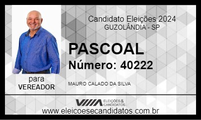 Candidato PASCOAL 2024 - GUZOLÂNDIA - Eleições