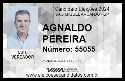 Candidato AGNALDO PEREIRA 2024 - SÃO MIGUEL ARCANJO - Eleições