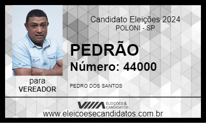 Candidato PEDRÃO 2024 - POLONI - Eleições