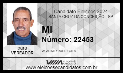 Candidato MI 2024 - SANTA CRUZ DA CONCEIÇÃO - Eleições