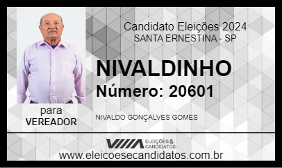 Candidato NIVALDINHO 2024 - SANTA ERNESTINA - Eleições