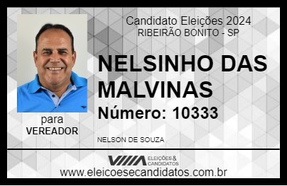 Candidato NELSINHO DAS MALVINAS 2024 - RIBEIRÃO BONITO - Eleições