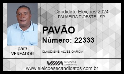 Candidato PAVÃO 2024 - PALMEIRA D\OESTE - Eleições