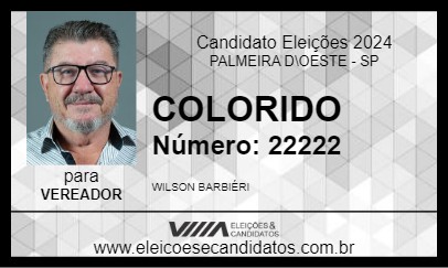 Candidato COLORIDO 2024 - PALMEIRA D\OESTE - Eleições