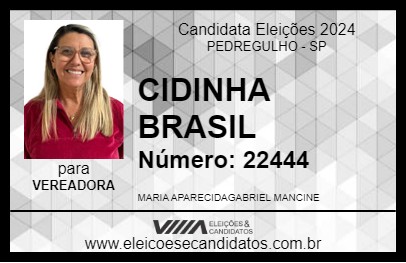 Candidato CIDINHA BRASIL 2024 - PEDREGULHO - Eleições