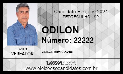 Candidato ODILON 2024 - PEDREGULHO - Eleições