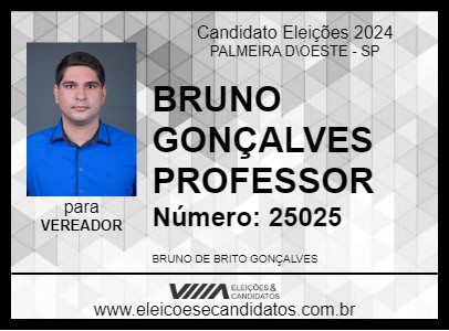 Candidato BRUNO GONÇALVES PROFESSOR 2024 - PALMEIRA D\OESTE - Eleições