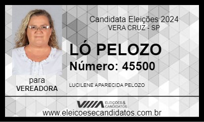 Candidato LÓ PELOZO 2024 - VERA CRUZ - Eleições