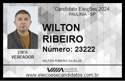 Candidato WILTON RIBEIRO 2024 - PAULÍNIA - Eleições