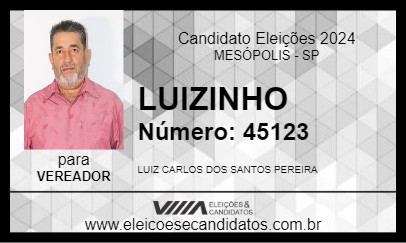 Candidato LUIZINHO 2024 - MESÓPOLIS - Eleições