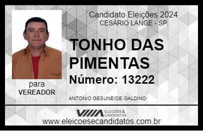 Candidato TONHO DAS PIMENTAS 2024 - CESÁRIO LANGE - Eleições