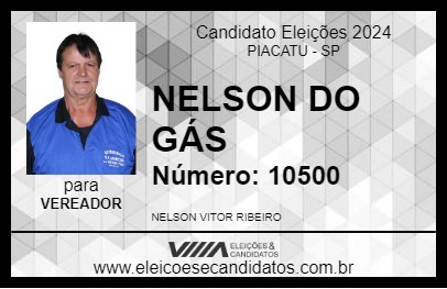 Candidato NELSON DO GÁS 2024 - PIACATU - Eleições