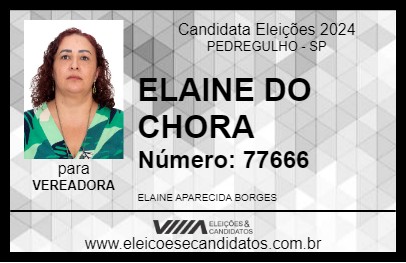 Candidato ELAINE DO CHORA 2024 - PEDREGULHO - Eleições