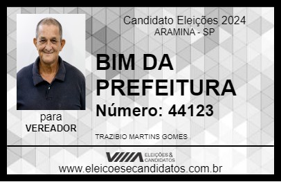 Candidato BIM 2024 - ARAMINA - Eleições