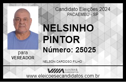 Candidato NELSINHO PINTOR 2024 - PACAEMBU - Eleições