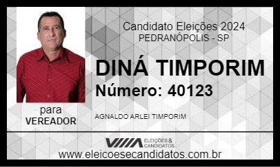 Candidato DINÁ TIMPORIM  2024 - PEDRANÓPOLIS - Eleições