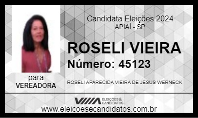 Candidato ROSELI VIEIRA 2024 - APIAÍ - Eleições