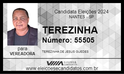 Candidato TEREZINHA 2024 - NANTES - Eleições