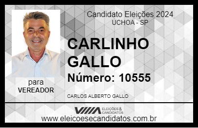 Candidato CARLINHO GALLO 2024 - UCHOA - Eleições