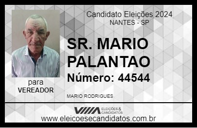 Candidato SR. MARIO PALANTAO 2024 - NANTES - Eleições