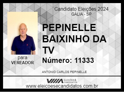 Candidato PEPINELLE BAIXINHO DA TV 2024 - GÁLIA - Eleições