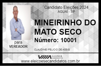 Candidato MINEIRINHO DO MATO SECO 2024 - AGUAÍ - Eleições