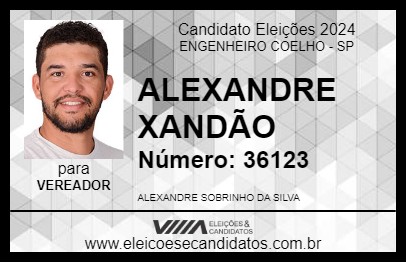 Candidato ALEXANDRE XANDÃO 2024 - ENGENHEIRO COELHO - Eleições