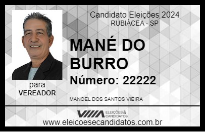 Candidato MANÉ DO BURRO 2024 - RUBIÁCEA - Eleições