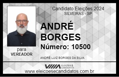 Candidato ANDRÉ BORGES 2024 - SILVEIRAS - Eleições