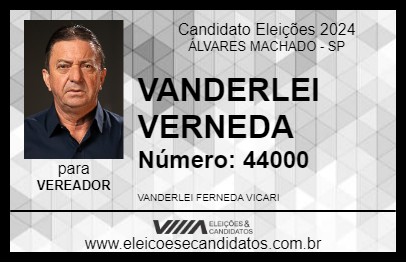 Candidato VANDERLEI FERNEDA 2024 - ÁLVARES MACHADO - Eleições