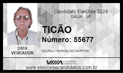 Candidato TICÃO 2024 - GÁLIA - Eleições