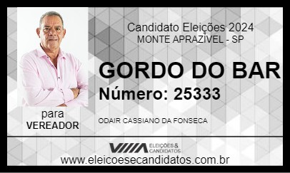 Candidato GORDO DO BAR 2024 - MONTE APRAZÍVEL - Eleições