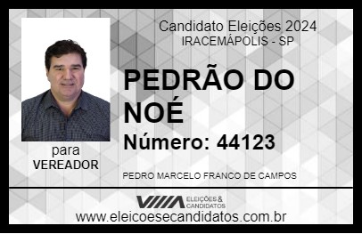 Candidato PEDRÃO DO NOÉ 2024 - IRACEMÁPOLIS - Eleições