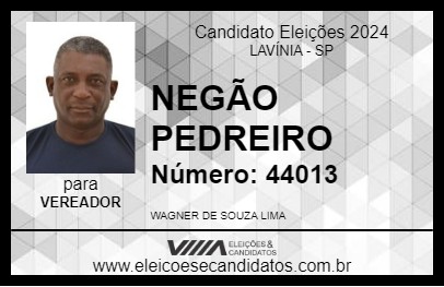 Candidato NEGÃO PEDREIRO 2024 - LAVÍNIA - Eleições