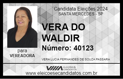 Candidato VERA DO WALDIR 2024 - SANTA MERCEDES - Eleições