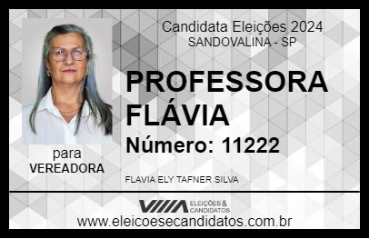 Candidato PROFESSORA FLÁVIA 2024 - SANDOVALINA - Eleições