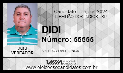 Candidato DIDI 2024 - RIBEIRÃO DOS ÍNDIOS - Eleições