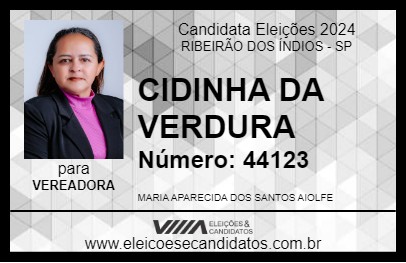 Candidato CIDINHA DA VERDURA 2024 - RIBEIRÃO DOS ÍNDIOS - Eleições