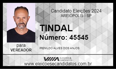 Candidato TINDAL 2024 - AREIÓPOLIS - Eleições