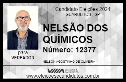 Candidato NELSÃO DOS QUÍMICOS 2024 - GUARULHOS - Eleições