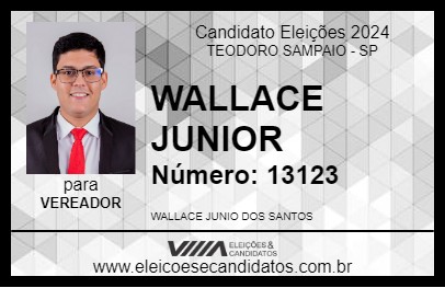 Candidato WALLACE JUNIOR 2024 - TEODORO SAMPAIO - Eleições