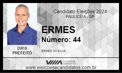 Candidato ERMES 2024 - PAULICÉIA - Eleições