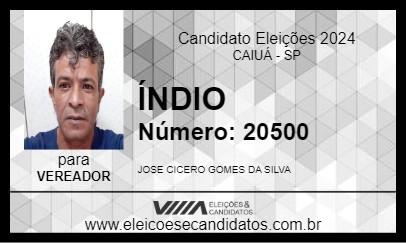 Candidato ÍNDIO 2024 - CAIUÁ - Eleições