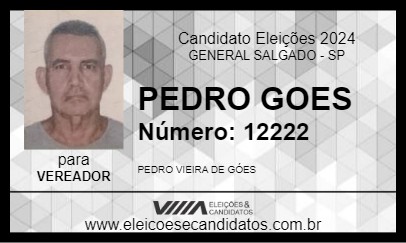 Candidato PEDRO GOES 2024 - GENERAL SALGADO - Eleições