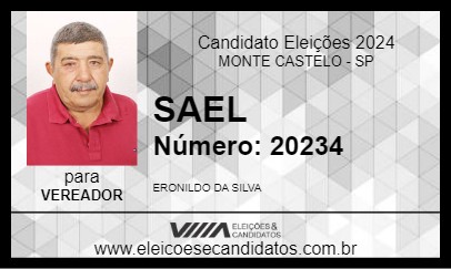 Candidato SAEL 2024 - MONTE CASTELO - Eleições