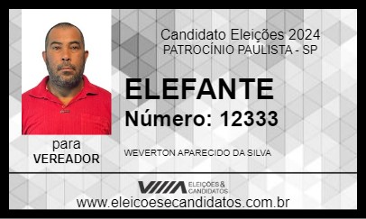 Candidato ELEFANTE 2024 - PATROCÍNIO PAULISTA - Eleições