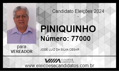 Candidato PINIQUINHO 2024 - SÃO ROQUE - Eleições