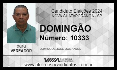 Candidato DOMINGÃO 2024 - NOVA GUATAPORANGA - Eleições