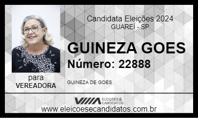 Candidato GUINEZA GOES 2024 - GUAREÍ - Eleições